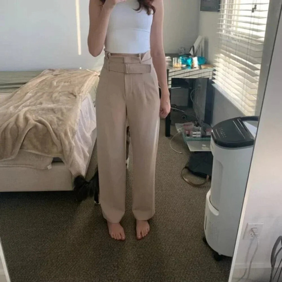 Aritzia Babaton Jermaine High Waist Wide Leg Power Pants Trousers Beige Size 4 - Picture 4 of 9